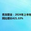 青龙管业：2024年上半年净利润同比增长421.33%