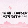 天源迪科：上半年净利润为3060.53万元 同比下降4.04%