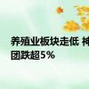 养殖业板块走低 神农集团跌超5%