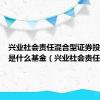 兴业社会责任混合型证券投资基金是什么基金（兴业社会责任）