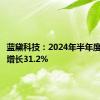 蓝黛科技：2024年半年度净利润增长31.2%