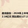 鼎龙股份：2024年上半年净利润2.18亿元 同比增长127.22%