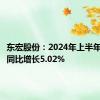 东宏股份：2024年上半年净利润同比增长5.02%