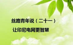 丝路青年说（二十一）| 让印尼电网更智慧