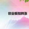 创业板指转涨