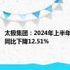 太极集团：2024年上半年净利润同比下降12.51%