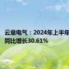 云意电气：2024年上半年净利润同比增长30.61%