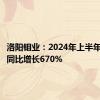 洛阳钼业：2024年上半年净利润同比增长670%