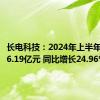 长电科技：2024年上半年净利润6.19亿元 同比增长24.96%