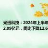 光迅科技：2024年上半年净利润2.09亿元，同比下降12.64%