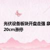 光伏设备板块开盘走强 泉为科技20cm涨停