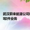 武汉蔚来能源公司新增AI软件业务