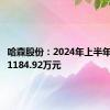 哈森股份：2024年上半年净亏损1184.92万元