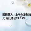 国网英大：上半年净利润9.16亿元 同比增长21.35%