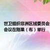 世卫组织非洲区域委员会第74届会议在刚果（布）举行