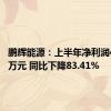 鹏辉能源：上半年净利润4167.9万元 同比下降83.41%