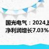 国光电气：2024上半年净利润增长7.03%