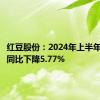 红豆股份：2024年上半年净利润同比下降5.77%