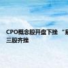 CPO概念股开盘下挫 “易中天”三股齐挫