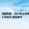 宝馨科技：2024年上半年净亏损1.06亿元 同比转亏