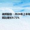 润邦股份：2024年上半年净利润同比增长9.71%