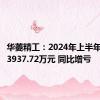 华菱精工：2024年上半年净亏损3937.72万元 同比增亏