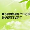 山东能源集团年产10万吨纳米碳酸钙项目正式开工