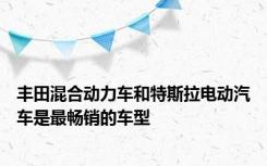 丰田混合动力车和特斯拉电动汽车是最畅销的车型