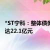 *ST宁科：整体债务规模达22.1亿元