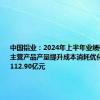 中国铝业：2024年上半年业绩强劲增长主营产品产量提升成本消耗优化净利润达112.90亿元