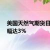 美国天然气期货日内跌幅达3%