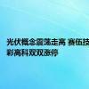 光伏概念震荡走高 赛伍技术、安彩高科双双涨停