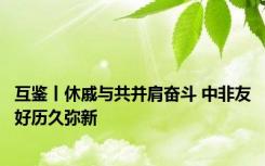 互鉴丨休戚与共并肩奋斗 中非友好历久弥新