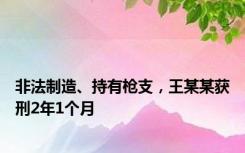 非法制造、持有枪支，王某某获刑2年1个月