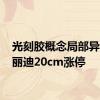 光刻胶概念局部异动 宝丽迪20cm涨停