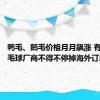 鸭毛、鹅毛价格月月飙涨 有大型羽毛球厂商不得不停掉海外订单