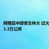 阿根廷中部发生林火 过火面积超1.3万公顷