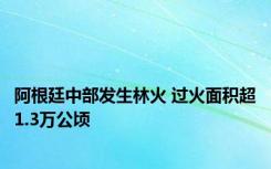 阿根廷中部发生林火 过火面积超1.3万公顷