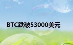 BTC跌破53000美元