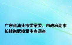 广东省汕头市委常委、市政府副市长林锐武接受审查调查