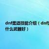 dnf柔道技能介绍（dnf柔道用什么武器好）