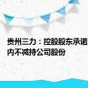 贵州三力：控股股东承诺18个月内不减持公司股份