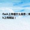 flash上传是什么意思（免费flash上传网站）