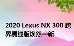 2020 Lexus NX 300 跨界黑线版焕然一新