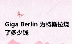 Giga Berlin 为特斯拉烧了多少钱