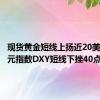 现货黄金短线上扬近20美元，美元指数DXY短线下挫40点