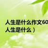 人生是什么作文600字（人生是什么）