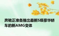 奔驰正准备推出最新S级豪华轿车的新AMG变体