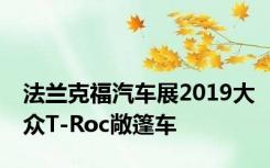 法兰克福汽车展2019大众T-Roc敞篷车