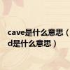 cave是什么意思（island是什么意思）